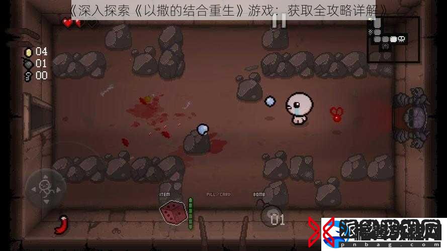 深入探索以撒的结合重生游戏