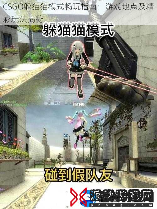 CSGO躲猫猫模式畅玩指南