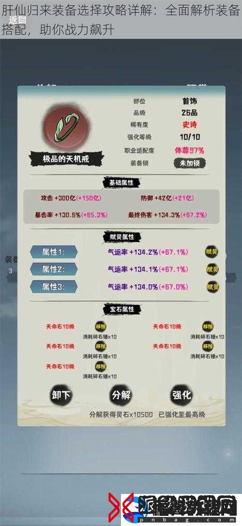 肝仙归来装备选择攻略详解：全面解析装备搭配-助你战力飙升