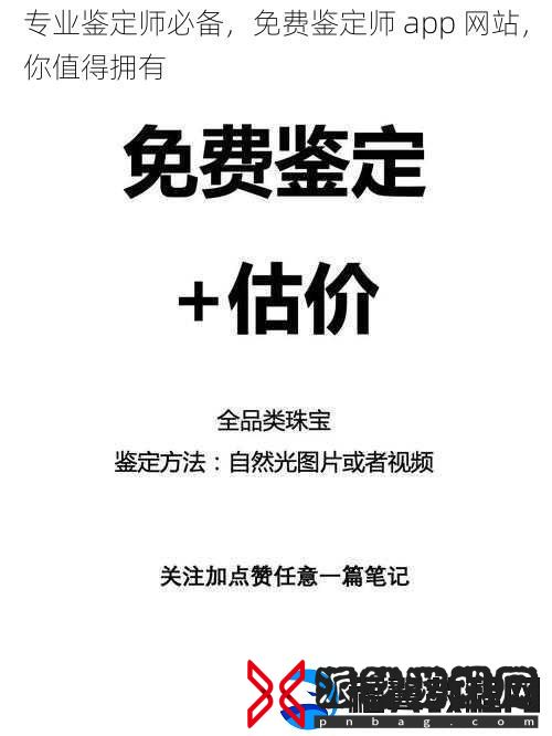 专业鉴定师必备