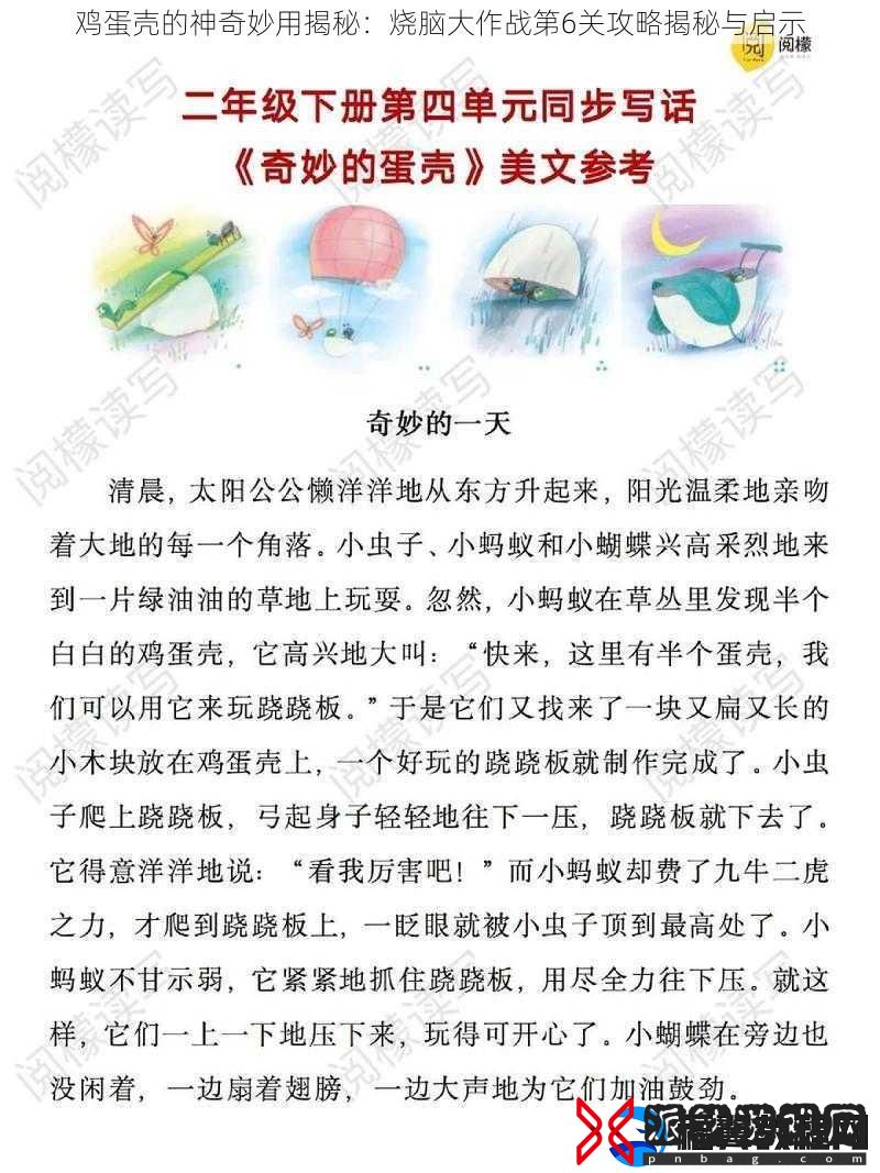 鸡蛋壳的神奇妙用揭秘