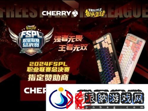 王者无双-CHERRY赞助2024FSPL职业联赛总决赛