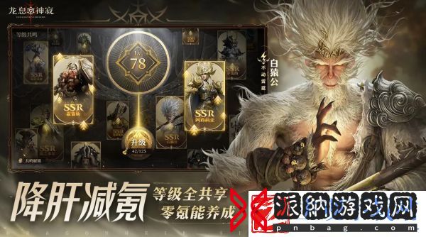 龙息神寂专属神器怎么样