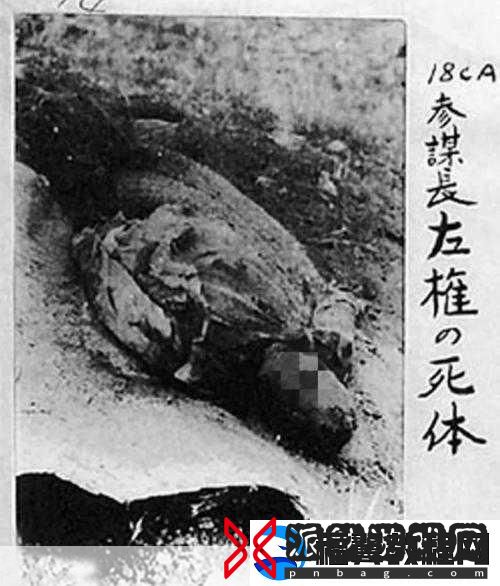 疯狂棺材2震撼更新